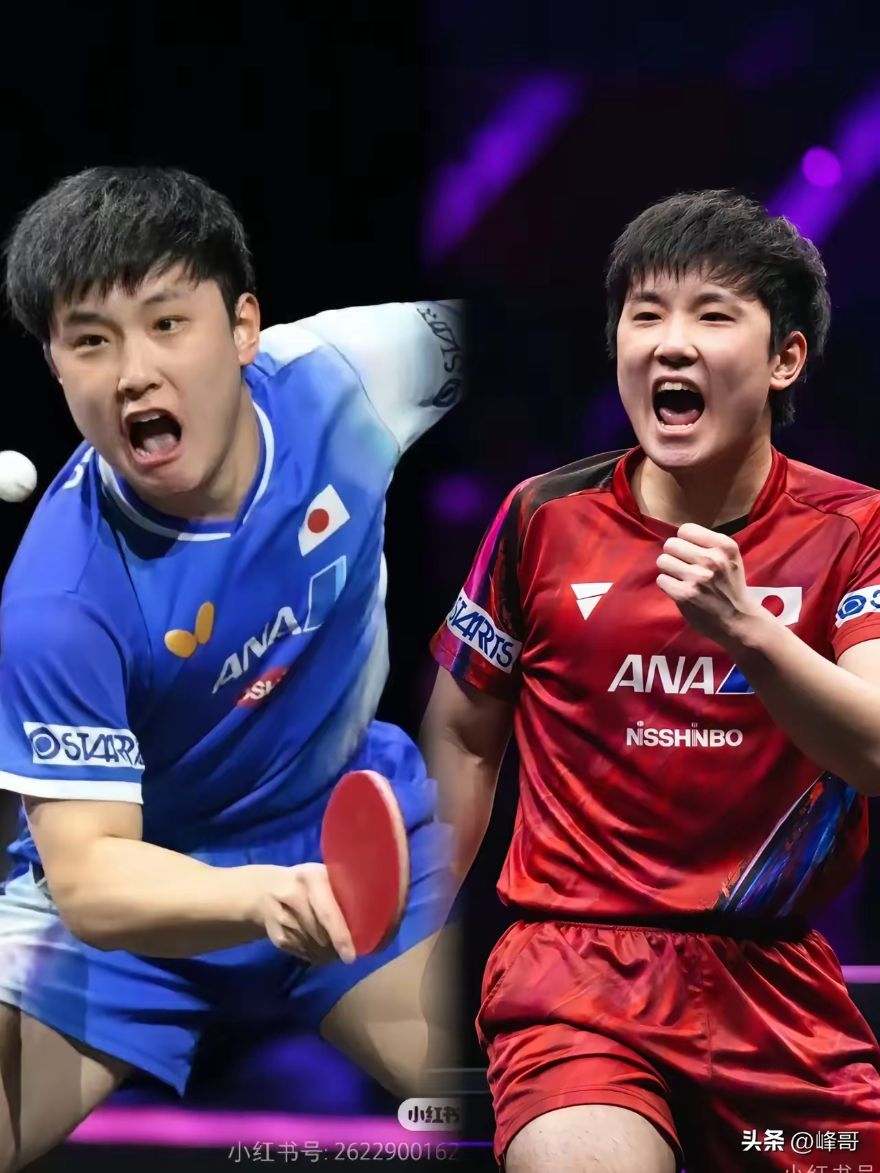 关于瑞典队绝杀英格兰队,张本智和点燃赛场的信息 关于瑞典队绝杀英格兰队,张本智和点燃赛场的信息