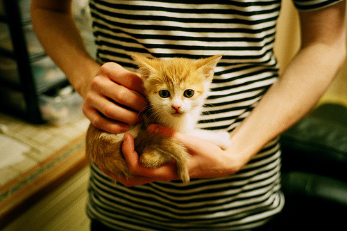 跨界篮球盛宴，老鹰对阵辽宁队，伦纳德化身攻防转换核心引爆全场