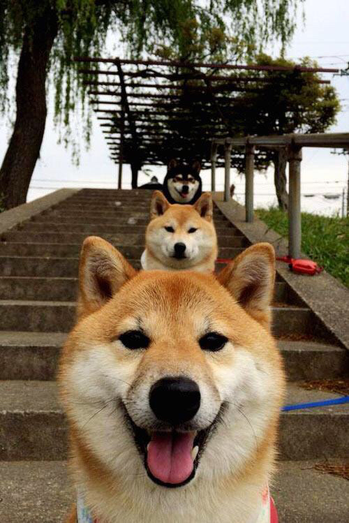 跨界接管，米切尔驾火箭终结76人，于F1巴林夜赛上演终极绝杀