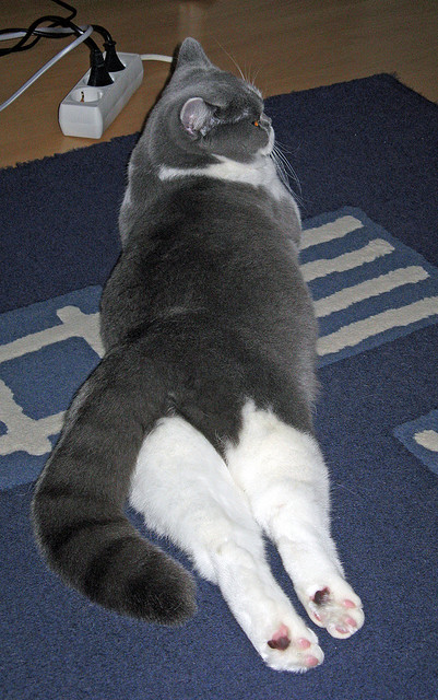 并非独奏，伦纳德如何以指挥家姿态，引领独行侠横扫火箭