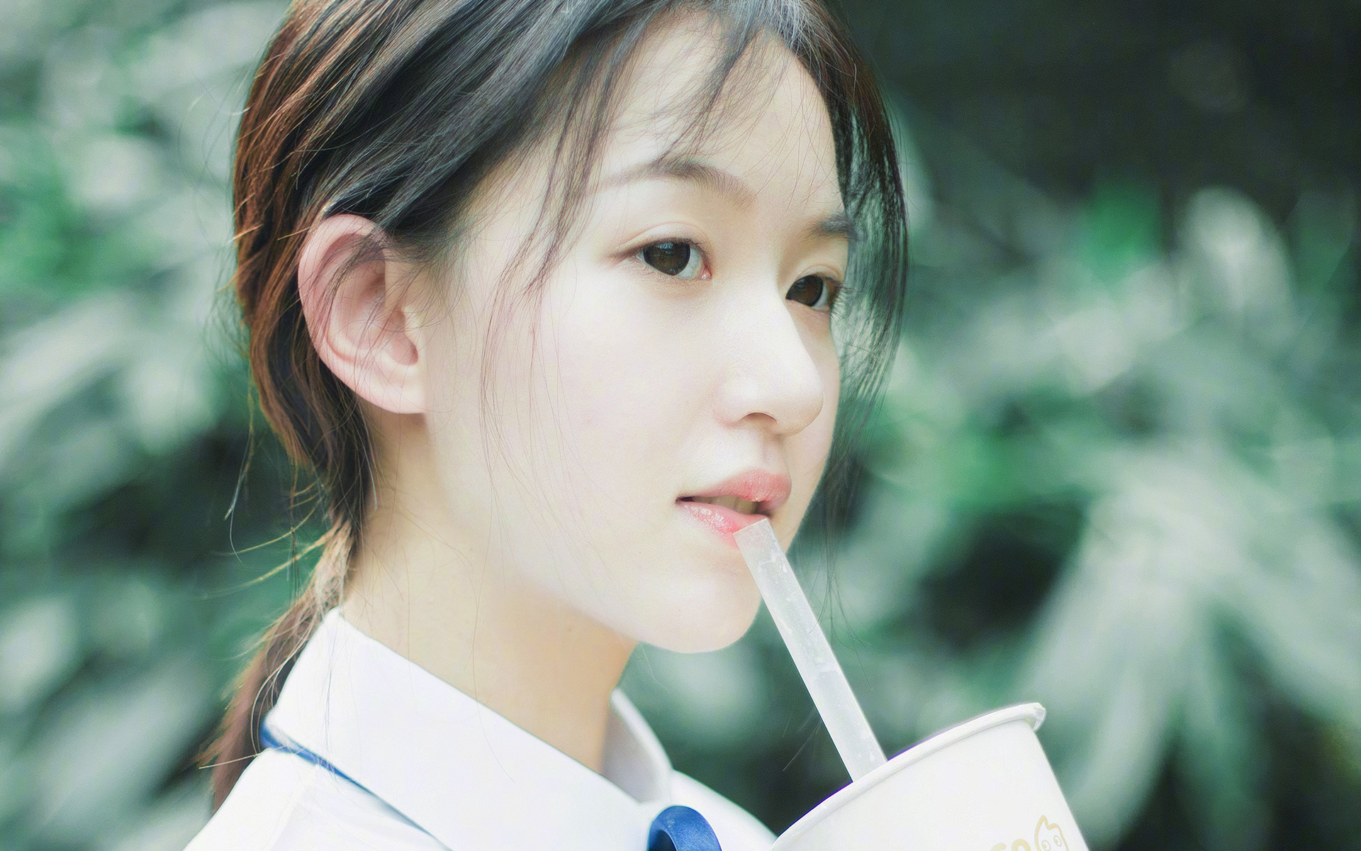 神兵天降！阿劳霍关键头球定乾坤，厄瓜多尔1-0力克埃及