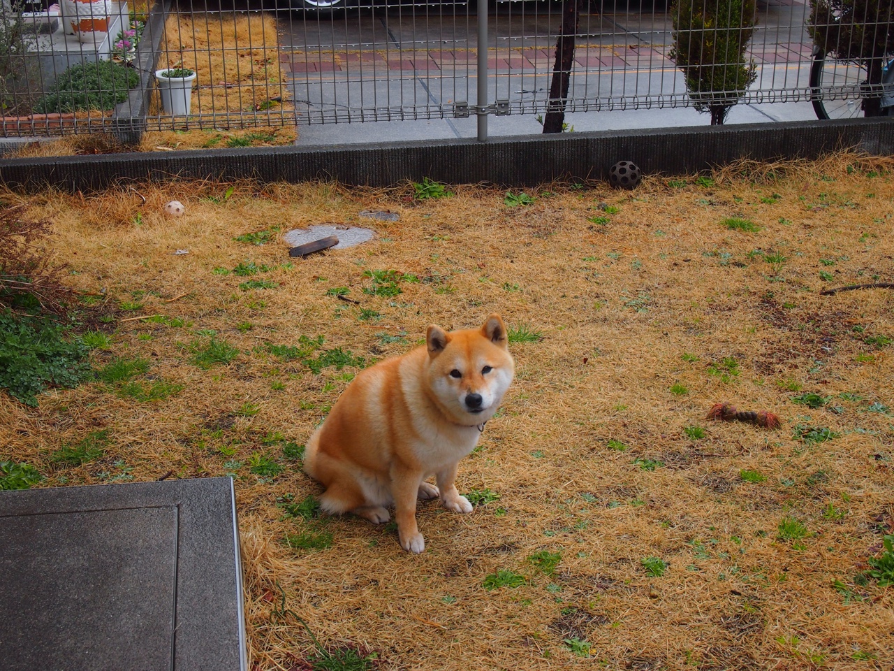 北非雄鹰的战术枷锁与北欧冰霜的破局之刃,论突尼斯式压制与厄德高的硬仗王本色