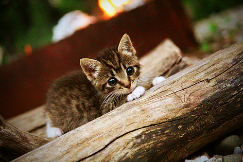 扩展思维后的文章标题(三个备选)