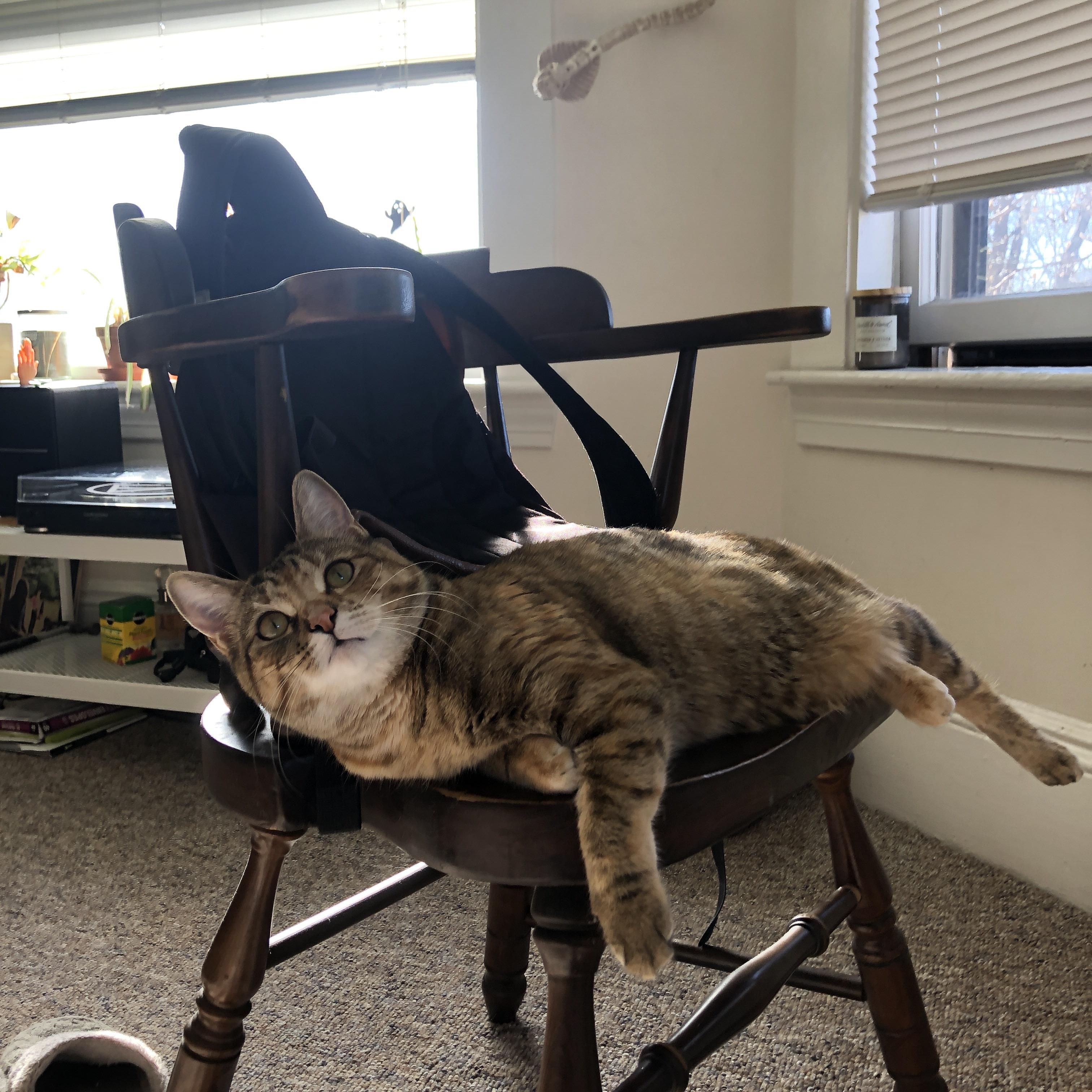 隐形战场上的绝杀者，霍勒迪在排名争夺战中接管比赛