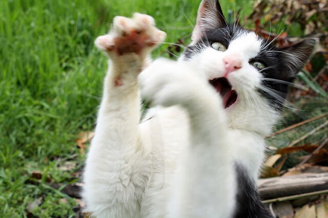 虚构跨联盟之战，伦纳德42分导演逆转，魔术加时险胜吉林