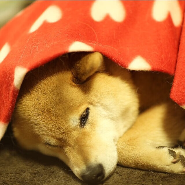 利拉德完成自我救赎,末节17分+压哨绝杀,步行者创53年纪录淘汰凯尔特人