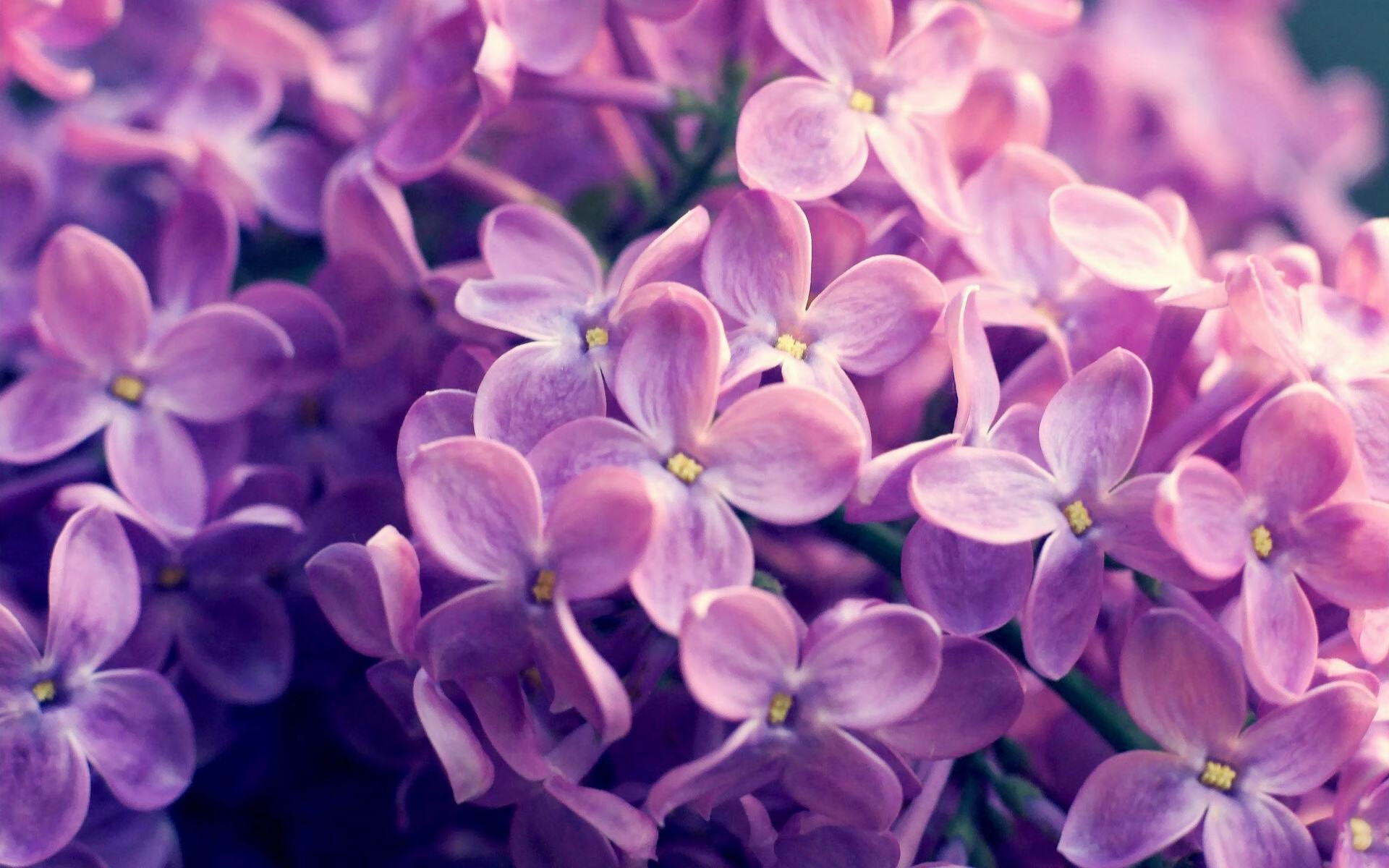 休斯敦的加冕礼，乔治在燃烧的灰烬中定义何为守护