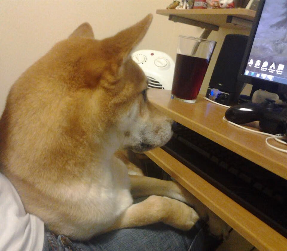 西亚卡姆狂砍45分引爆全场，开拓者与浙江队上演跨洋鏖战