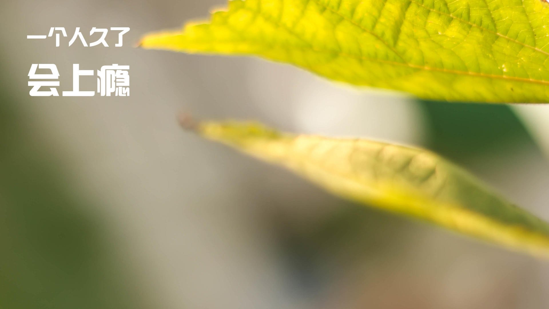 德甲争冠夜，萨卡的证明之战