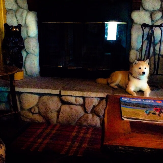 群星之上,唯一的恒星,詹姆斯总决赛之夜的无解统治