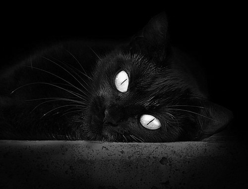 当比利时以风暴席卷巴黎,看C罗如何将胜利写成教科书