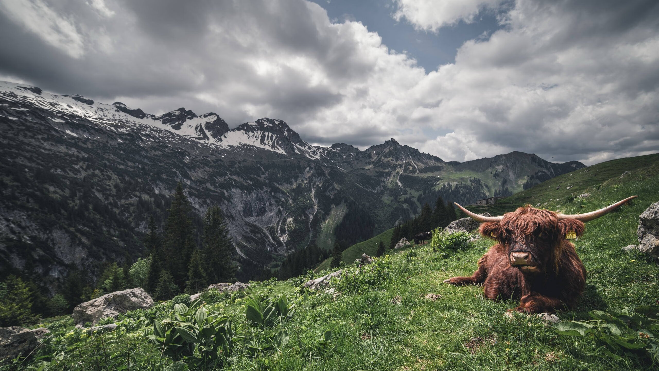当深圳队遇见马刺，约基奇的时空交响与攻防革命