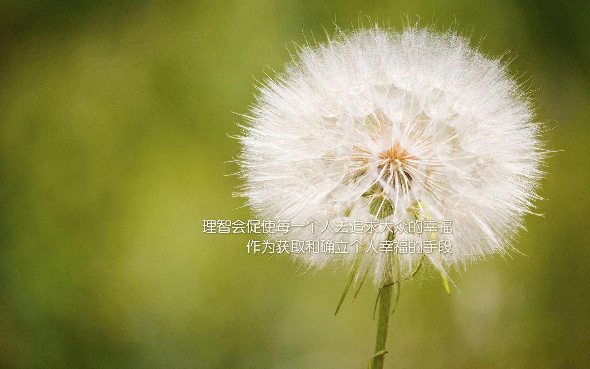 跨洋引爆，当福克斯39分刺客之刃，刺穿洛杉矶夜空—记北京队巅峰之战决胜快船