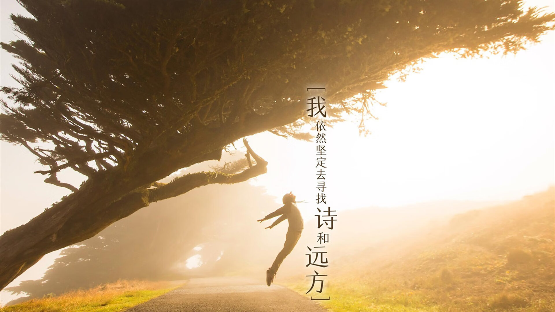 欧冠式绞杀!约基奇伯纳乌封神,掘金客场攻克绿军皇马