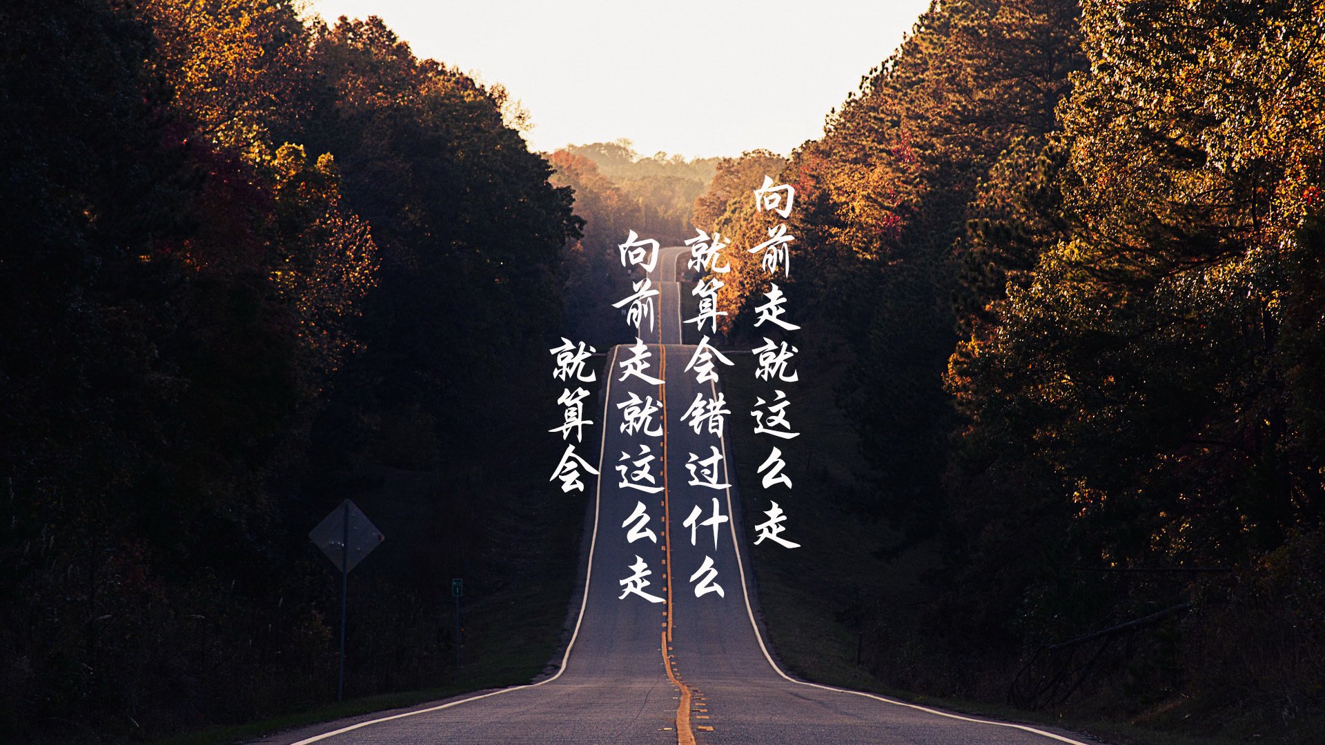 孤星对决，2026世界杯B组，波兰横扫喀麦隆，巴雷拉用铁血节奏改写命运
