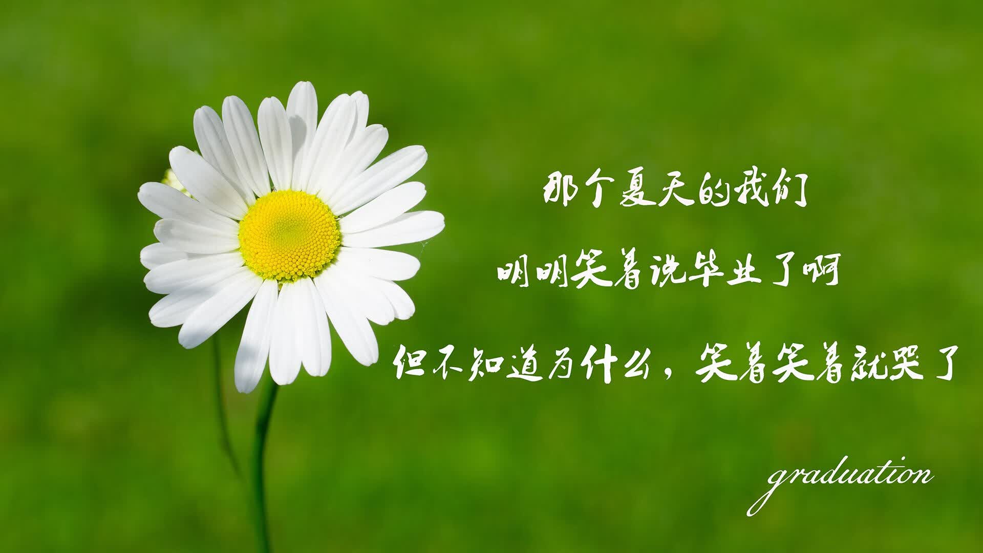 宿命的弧线,2026,当吉鲁的左脚重写丹麦童话
